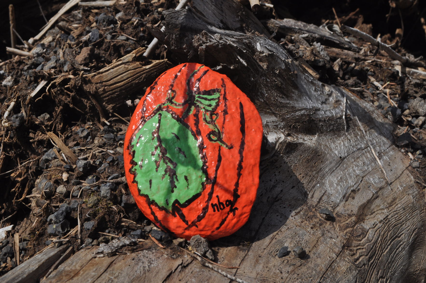Painted rock art